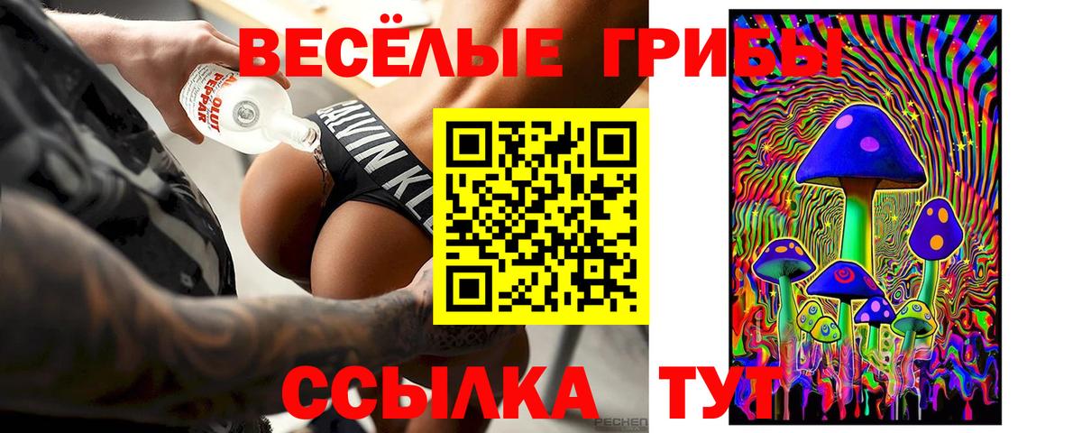 Псилоцибиновые грибы Psilocybe Лянтор
